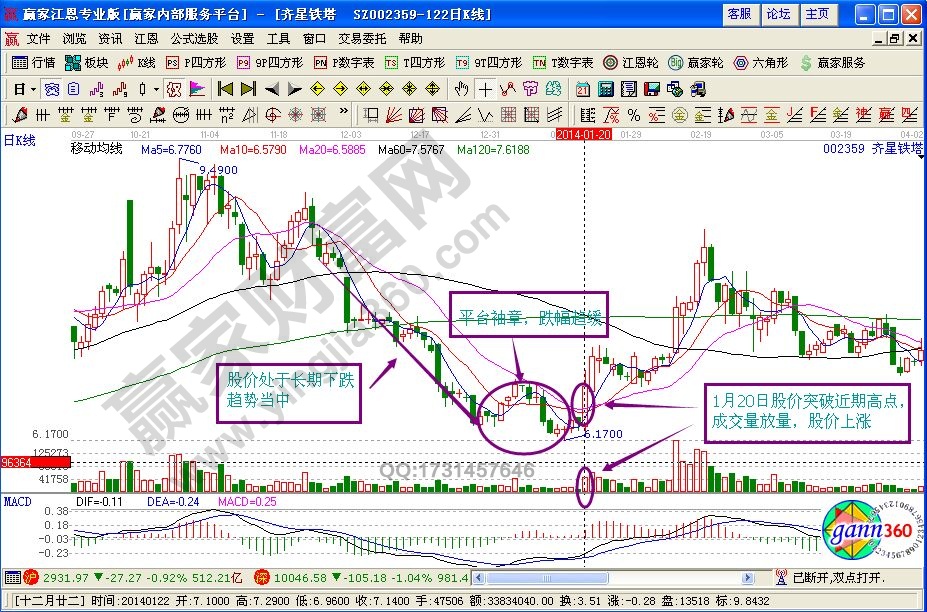 金钩钓鱼形态特征