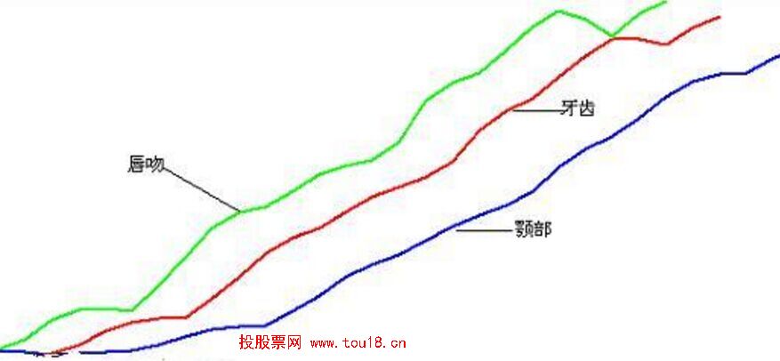 鳄鱼线的原理以及实战应用