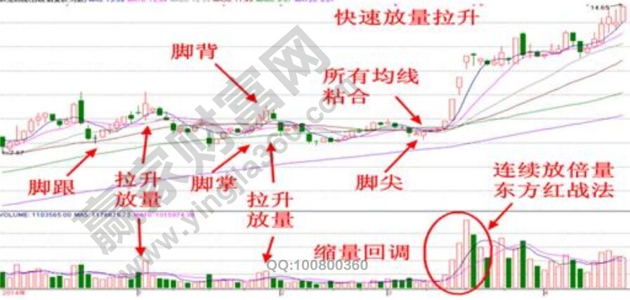 金鸡独立实战图形.jpg