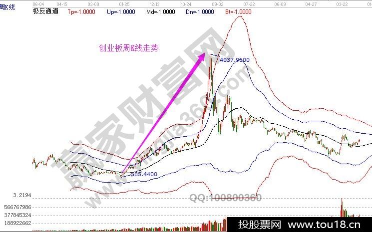 创业板上市公司