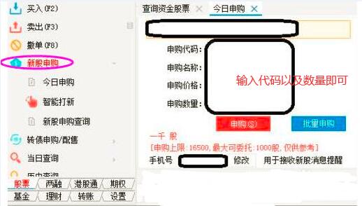 电脑端交易软件申购新股