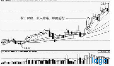 一根k线交易精髓