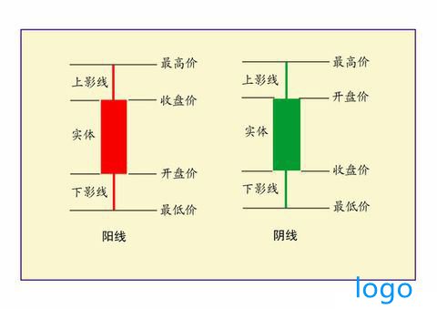 天天基金网每日净值查询代码